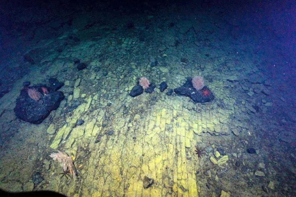 太平洋底发现的黄砖路，条纹清晰可见，是亚特兰蒂斯文明吗？