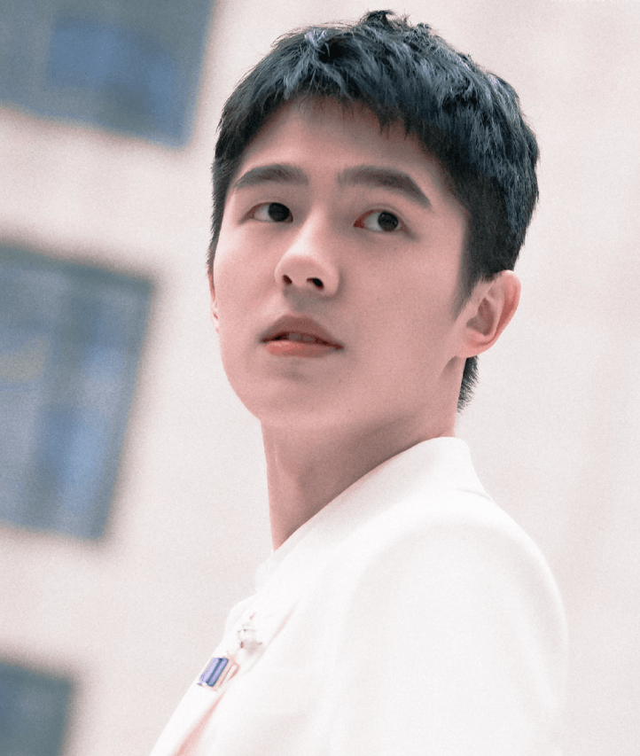 通过大数据的分析,今年才二十三岁的刘昊然成为了内地首位95后百亿