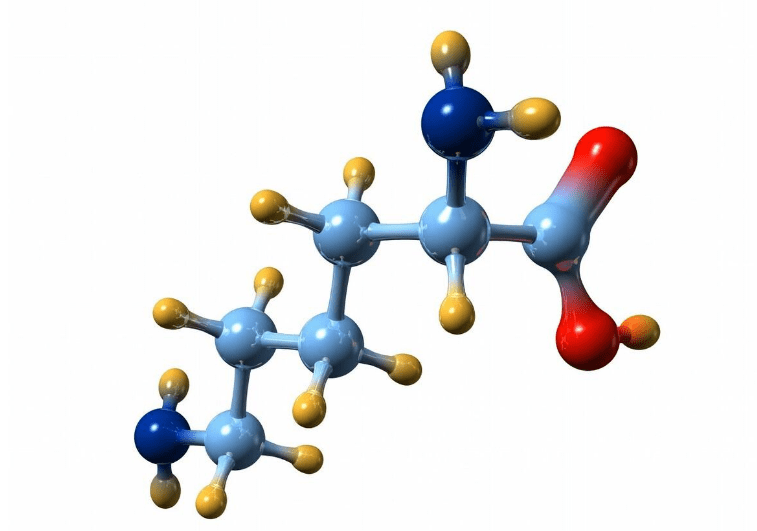 医生:想要肝脏柔软红润,少吃这3种食物_马大爷_老爷子_油脂