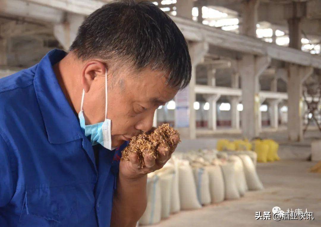 杜康生产基地酿酒部主任徐长法 匠心酿造34年只为一坛好酒_伊川_车间
