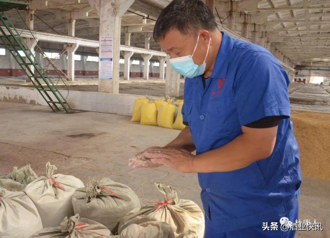 杜康生产基地酿酒部主任徐长法 匠心酿造34年只为一坛好酒_伊川_车间