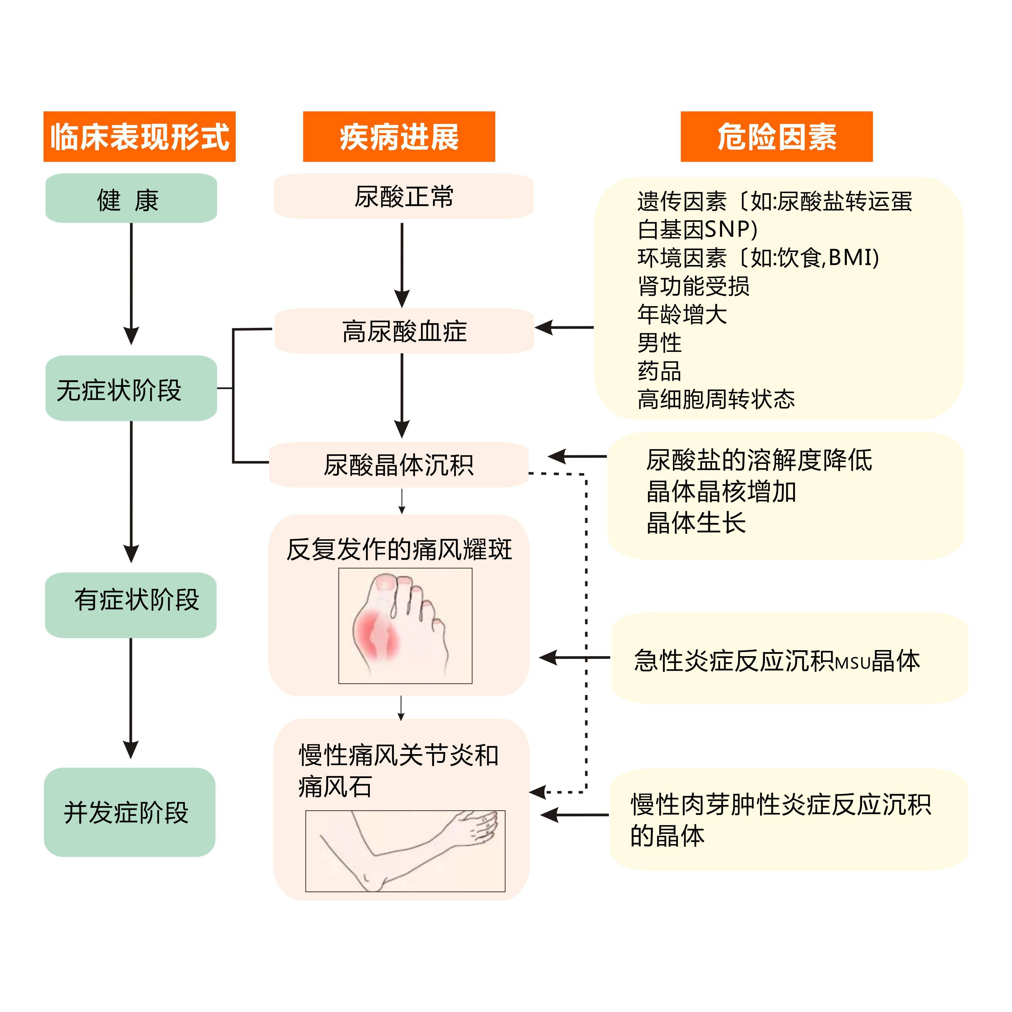 当近些年痛风及高尿酸血症越来越为大家所熟知后,人们其实已经对痛风
