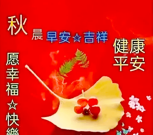 细雨绵绵情意长,枫红菊黄品茶香.硕果累累谷满仓,景色怡人好时光.