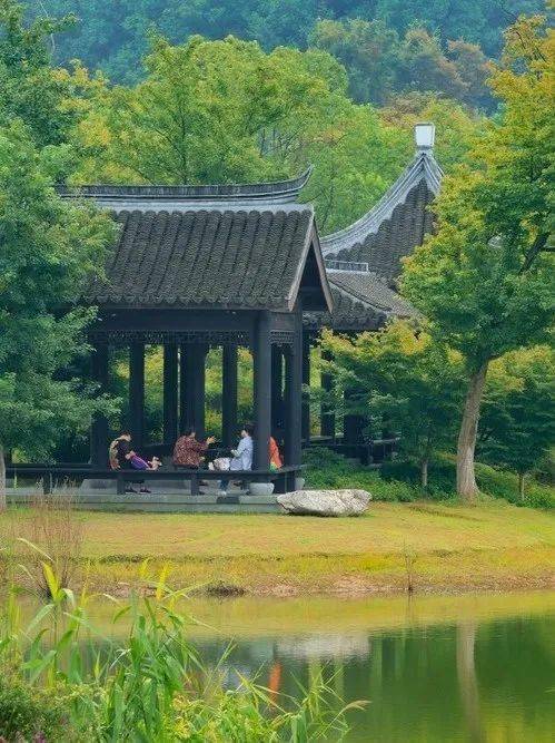 秋景上線超驚豔!鎮江的這些地方不可辜負_景區_焦山_南山