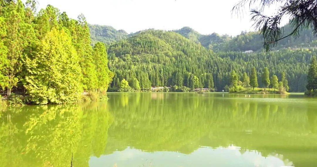 前段时间,普安县启动南山湖步道提升改造工程.