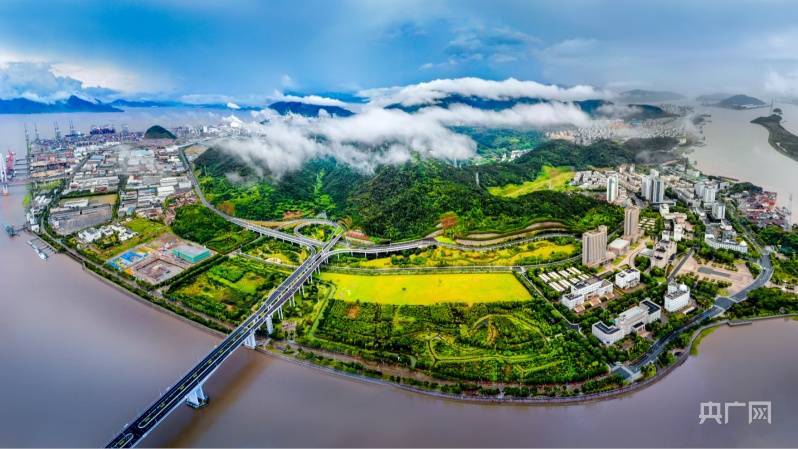 【重要窗口看浙江 自贸征程再起航】胡真舫:以开放促