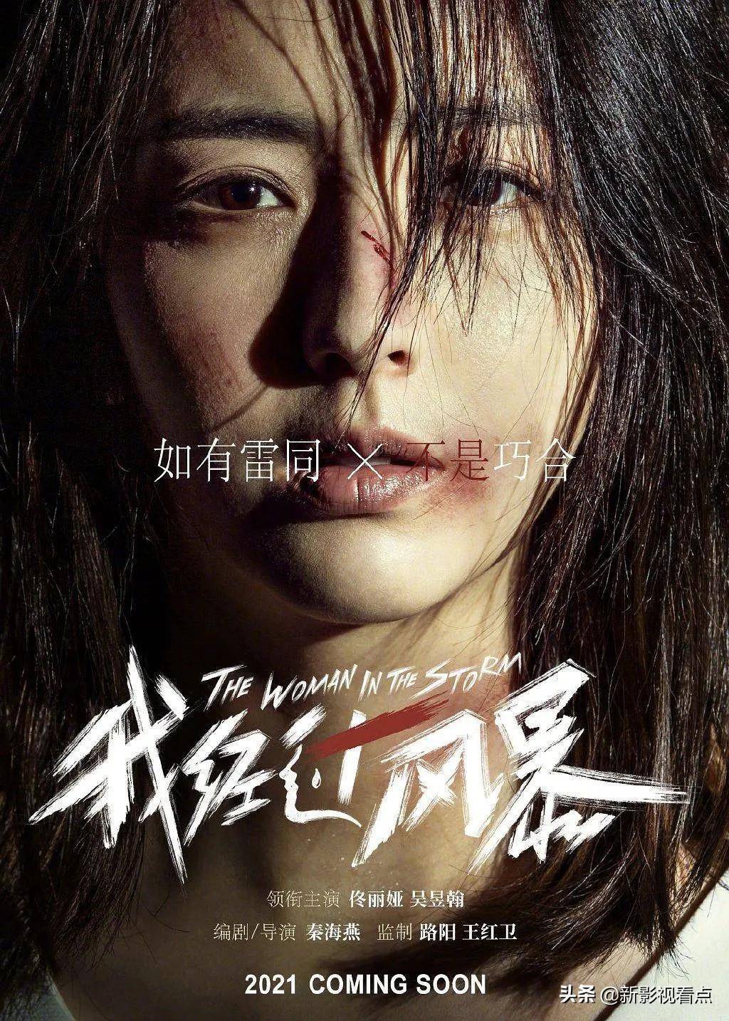 电影《我经历过风暴》官宣杀青,佟丽娅主演,值得期待_法律手段_影片