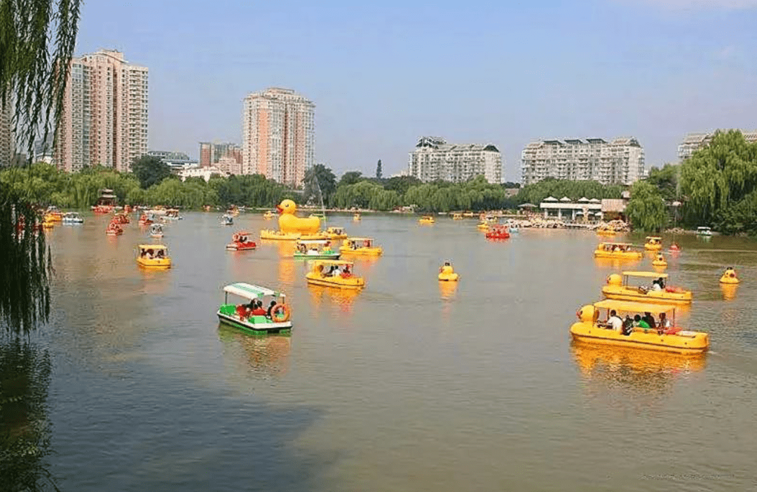 海洪湿地公园划船图片