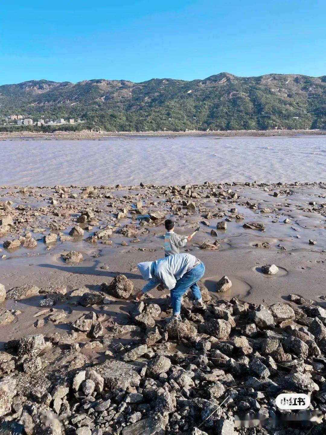 洞头赶海全攻略,教你轻松俘获小海鲜~_沙滩_来源_螃蟹