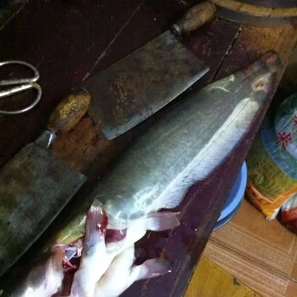 钓得2条胡子鲶,回来一称,一条4斤多,一条3斤多_扬头_流水_活动