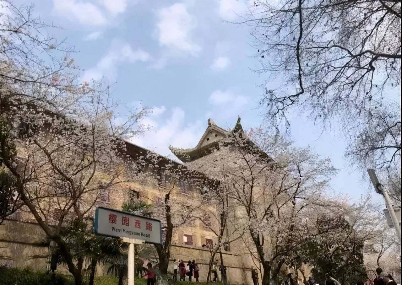 生物工程专业排名_化学专业排名_物理学排名