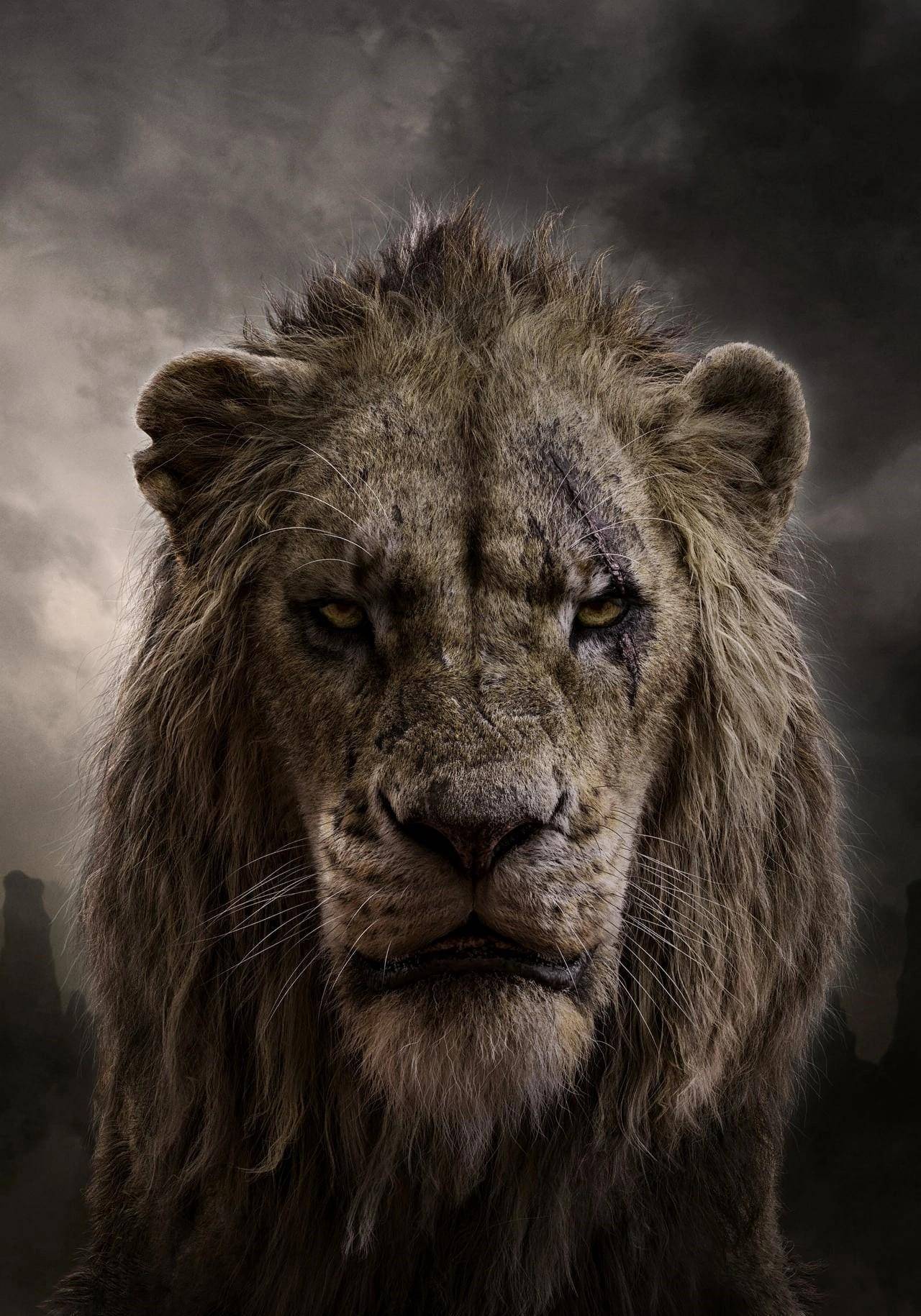 刀疤vs谢利可汗,如果这两个大坏蛋正面硬肛,谁会笑到最后呢?