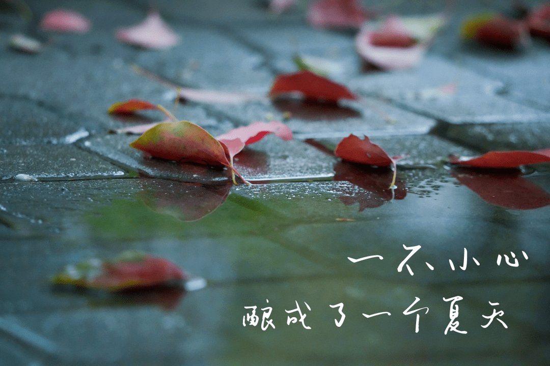 影集丨我们如何同夏天告别