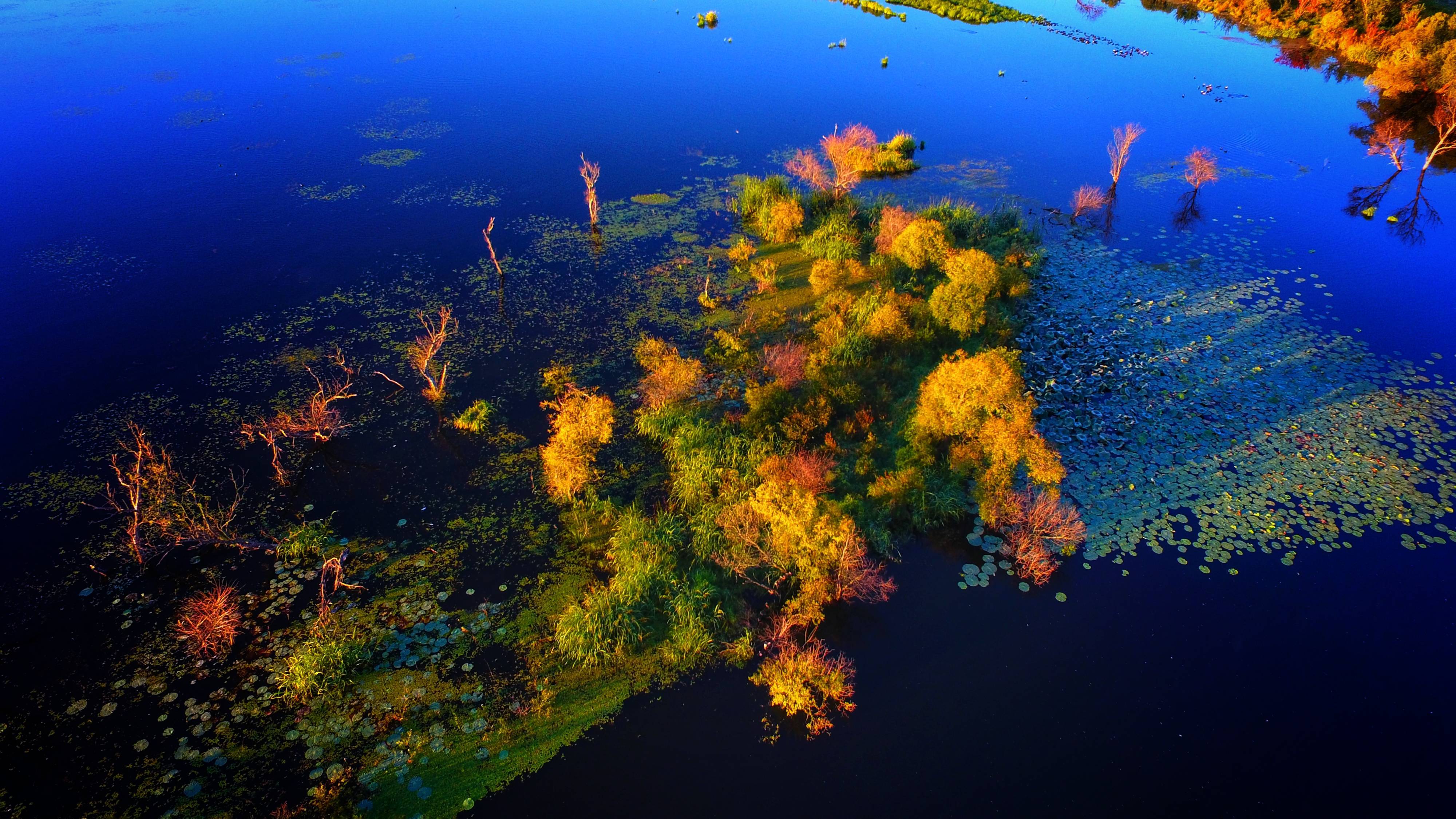 饶河：乌苏里江国家湿地公园秋意渐浓