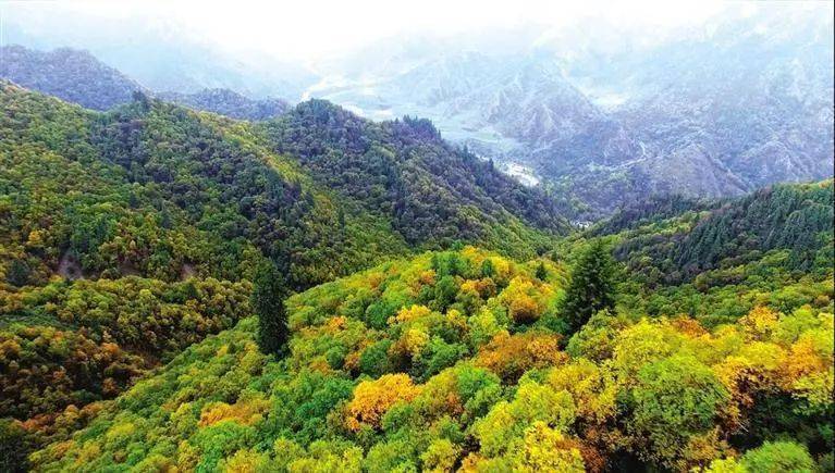 兰州绿化,以绿为"笔" 绘出金城最美底色_自然保护区_连城_生态