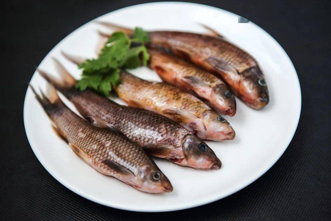 当谈起巴马时,你会想到什么?_李肖昌_河流_摄影