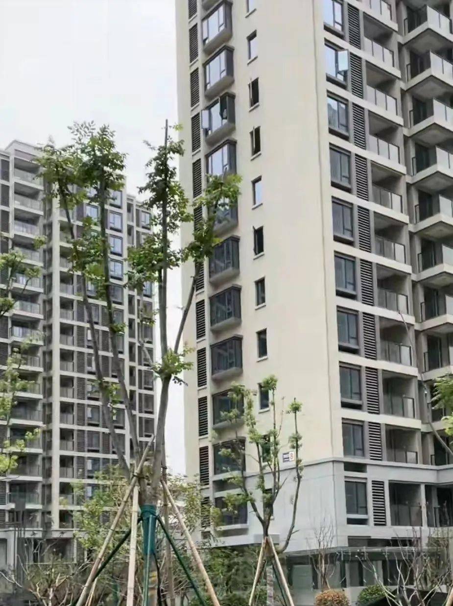 倒楼后原拆原建宁波备受关注的安置小区喜交房不少居民这样来提房