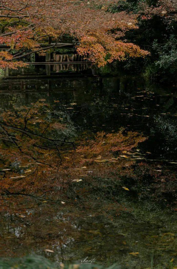 高级感十足的背景图_背景图