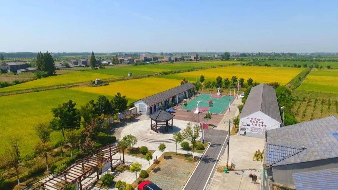 荆州市江陵县普济镇东李村五组村民 傅惟汉:"那我肯定激动,我以前都是