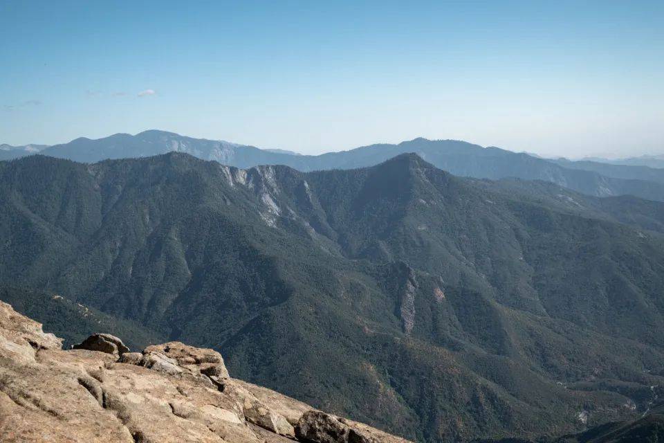 洗地机市场遭遇群雄争霸，添可被逼加速多元化转型-家电圈官网