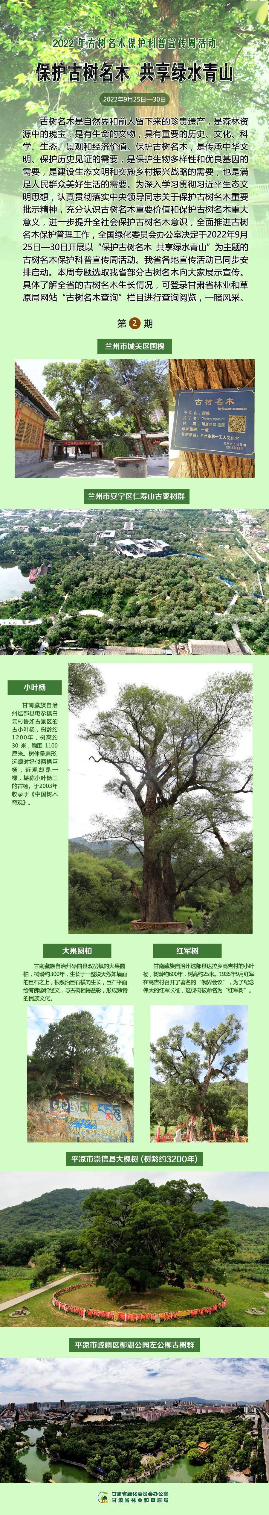 宣传海报 保护古树名木共享绿水青山 保护 名木 海报