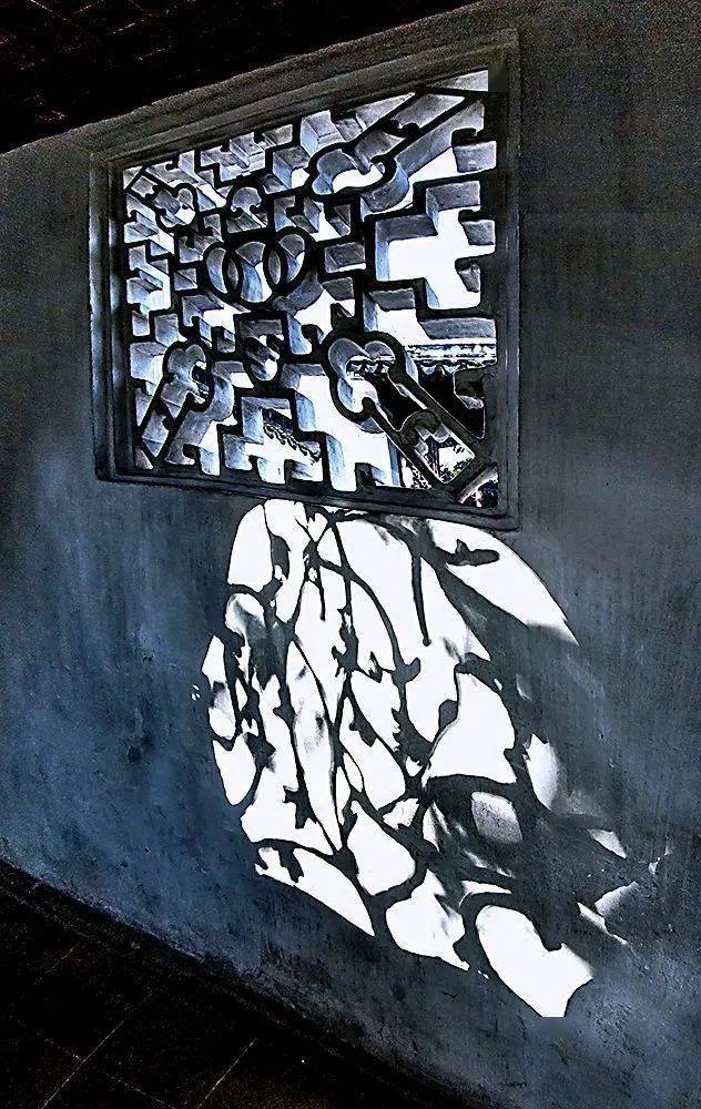 营造视野:狮子林花窗之美,一窗一景,最风雅