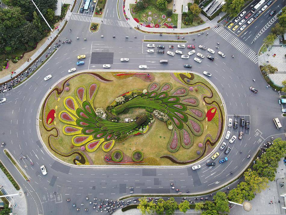 2022年9月26日,南京鼓楼广场中心环岛和周边被鲜花和花球扮靓