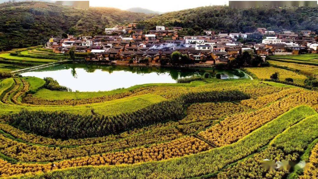 "稻花香里说丰年",在宜良,路纳米算得上小有名气,漫步在竹山镇路纳村