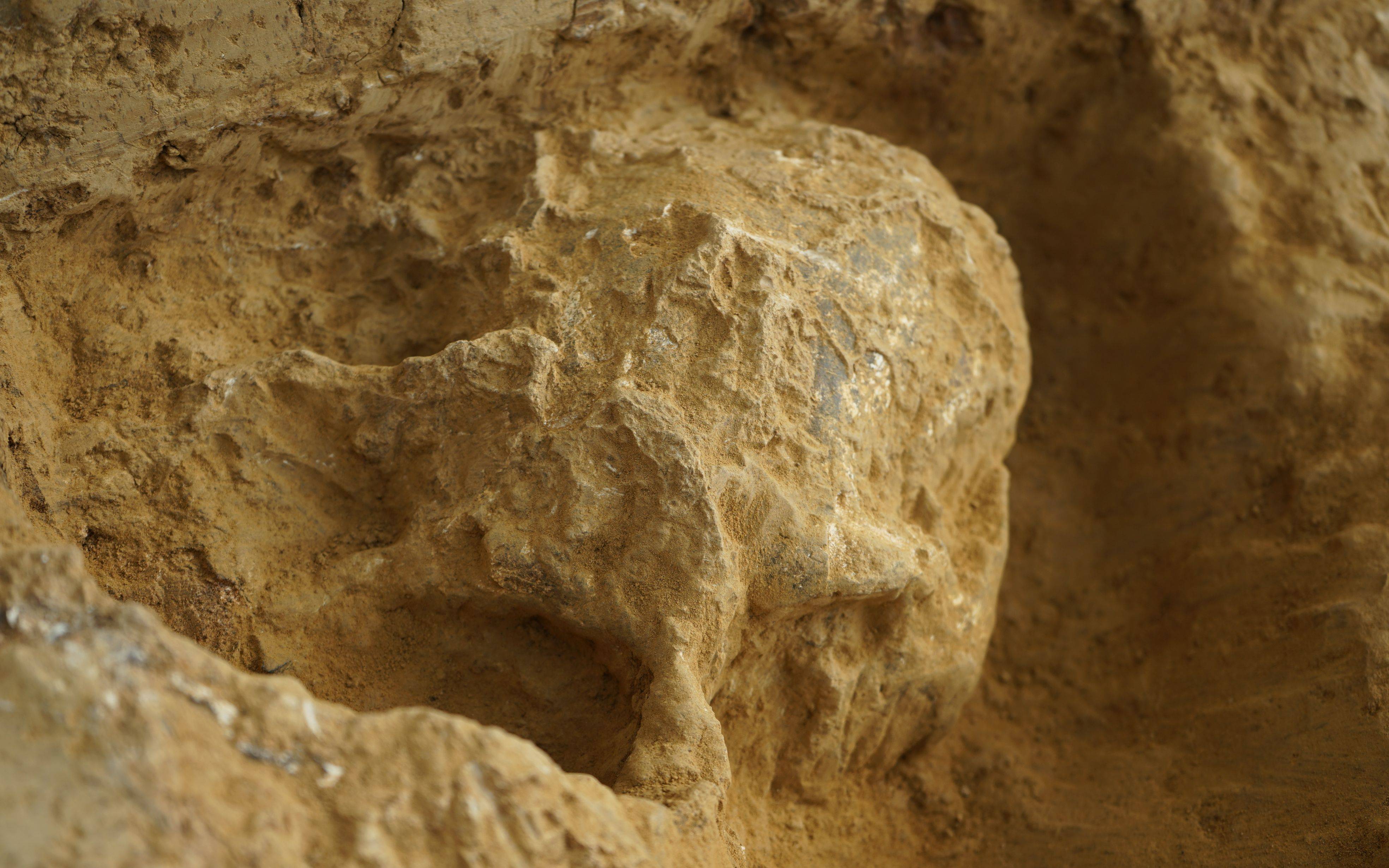 湖北发现迄今欧亚内陆同时代最为完整的直立人头骨化石_湖北发现距今