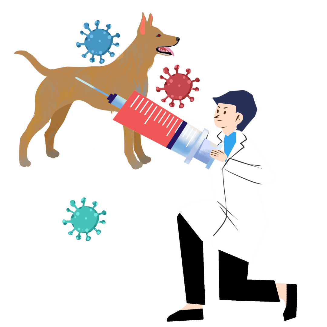 狂犬疫苗漫画图片