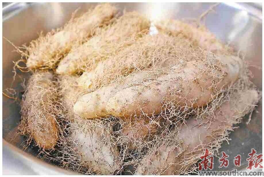 一碗田薯羹 点亮夜生活_吴川人_博铺街道_麦思容