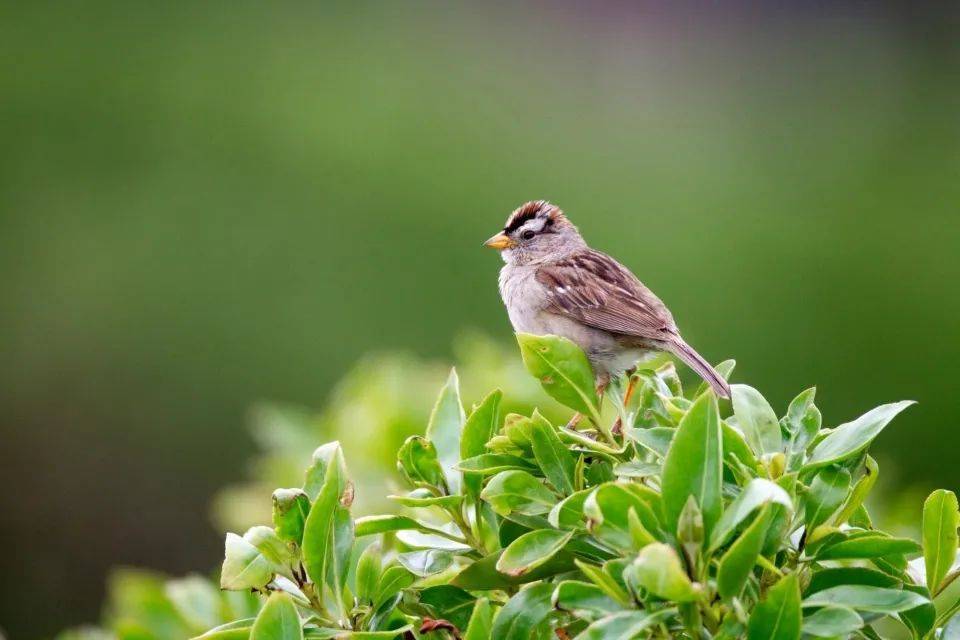 百年品牌松下产品和价格双双虚假宣传,被行政处罚引发用户震惊-家电圈官网