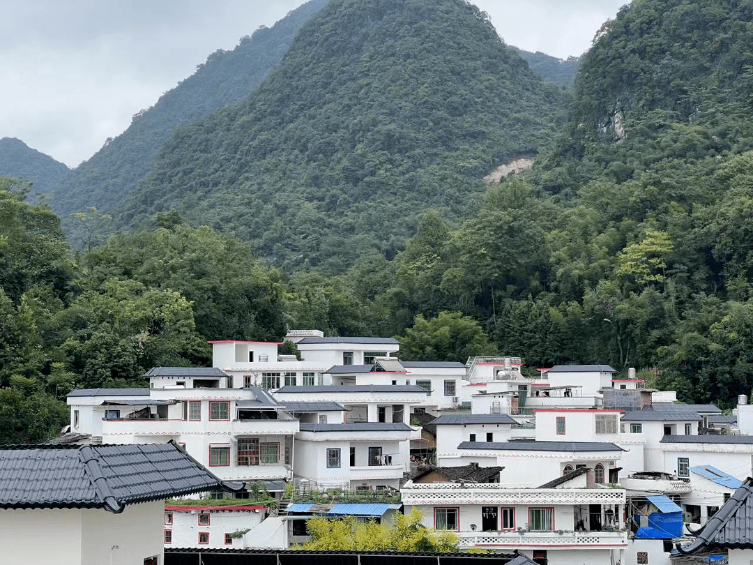 【为民履职办实事】连南三排镇:人大代表各出妙招,助力乡村振兴提档