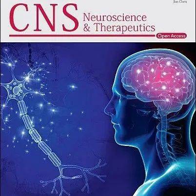 Prime Drops Male Enhancement: Pros and Cons