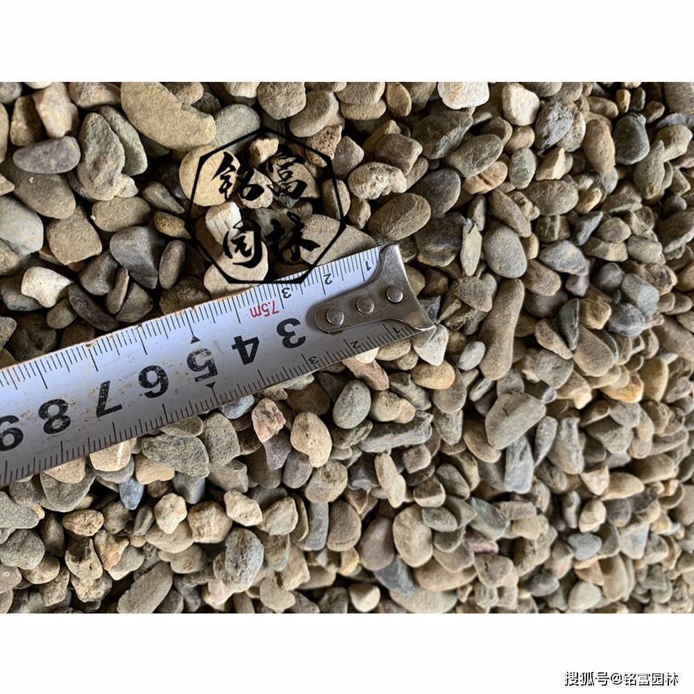 鹅卵石有分类出颜色规格,不同颜色价格也不一样,黑色鹅卵石经过抛光