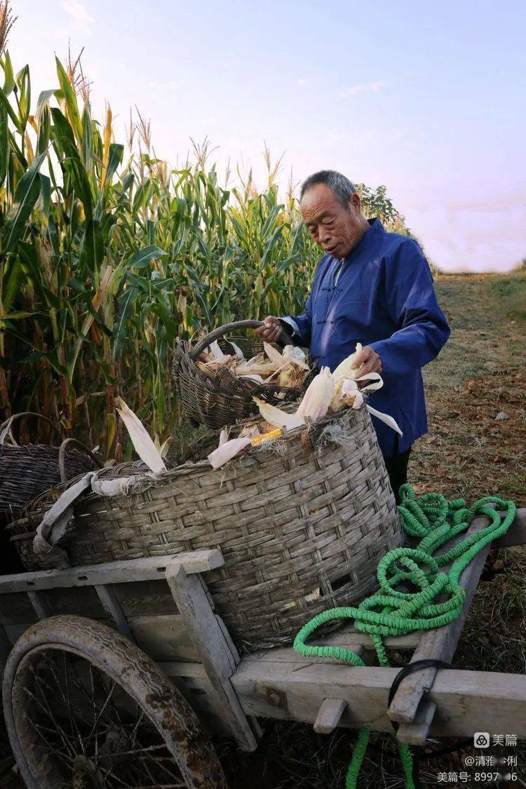 人像摄影:盈车嘉穗_话说_田野_九月