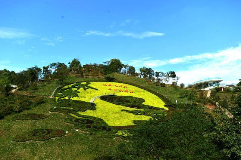国庆出圈新玩法 成都无根山竹艺公园正式试营业_文化_崇州市_乡村