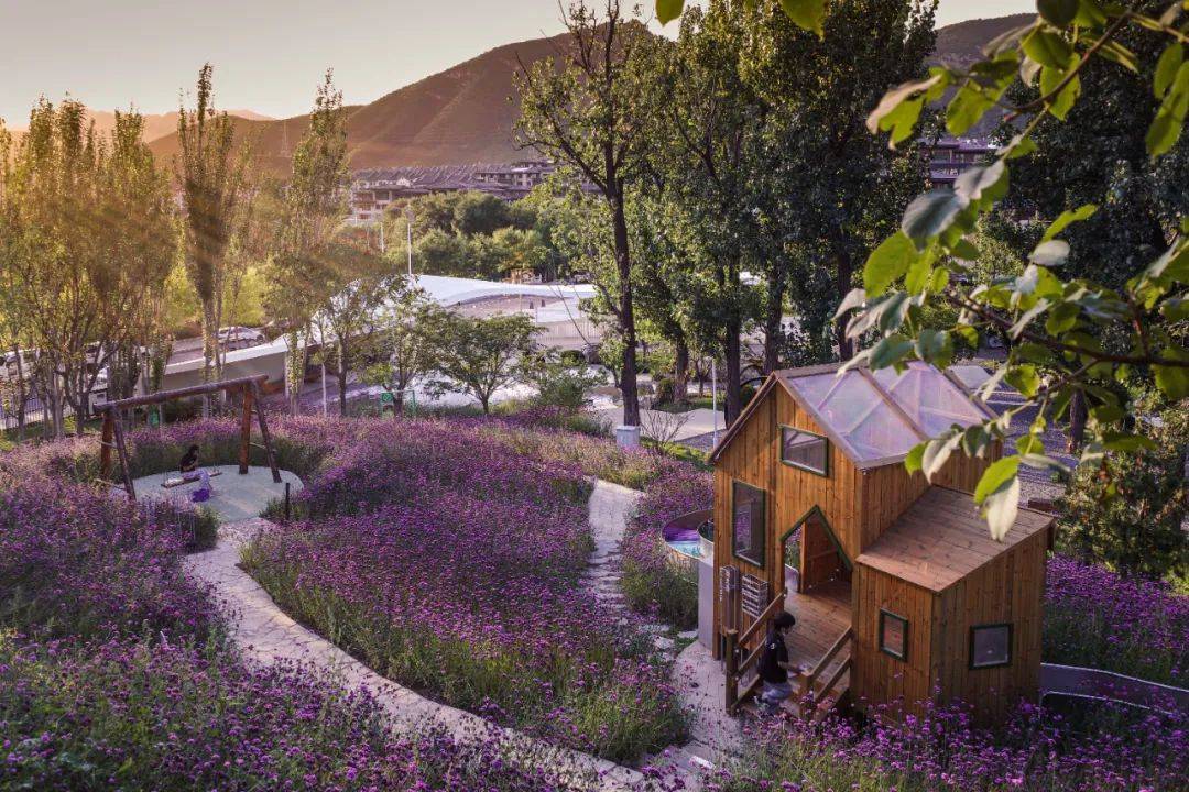 檀谷慢闪公园|京西宝藏公园里的野奢帐篷