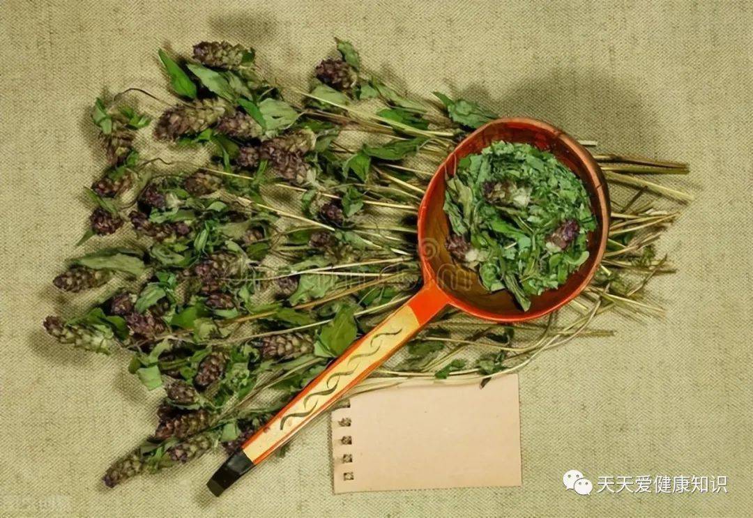 甲狀腺結節吃夏枯草能消結嗎?