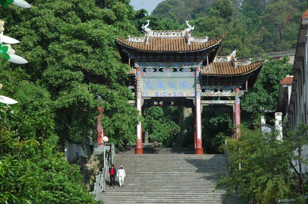 太保山公園圖 聶子涵 攝| 青華海國家溼地公園| 瓦渡石林| 馬鹿塘