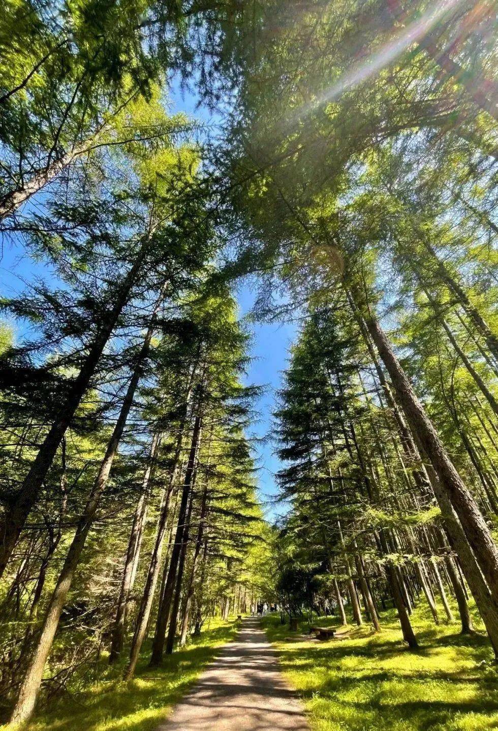 住美宿·趣露营·赏美景，这份国庆旅行攻略必须收藏！