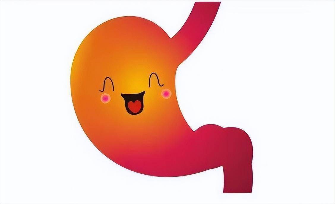 胃病不能喝豆浆?提醒:想养胃,谨记以下6种食物,胃痛或会缓解