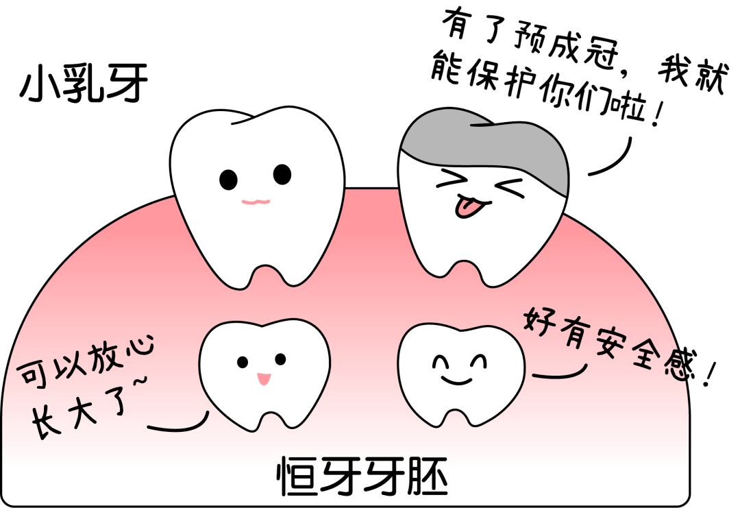 牙齿折法图片