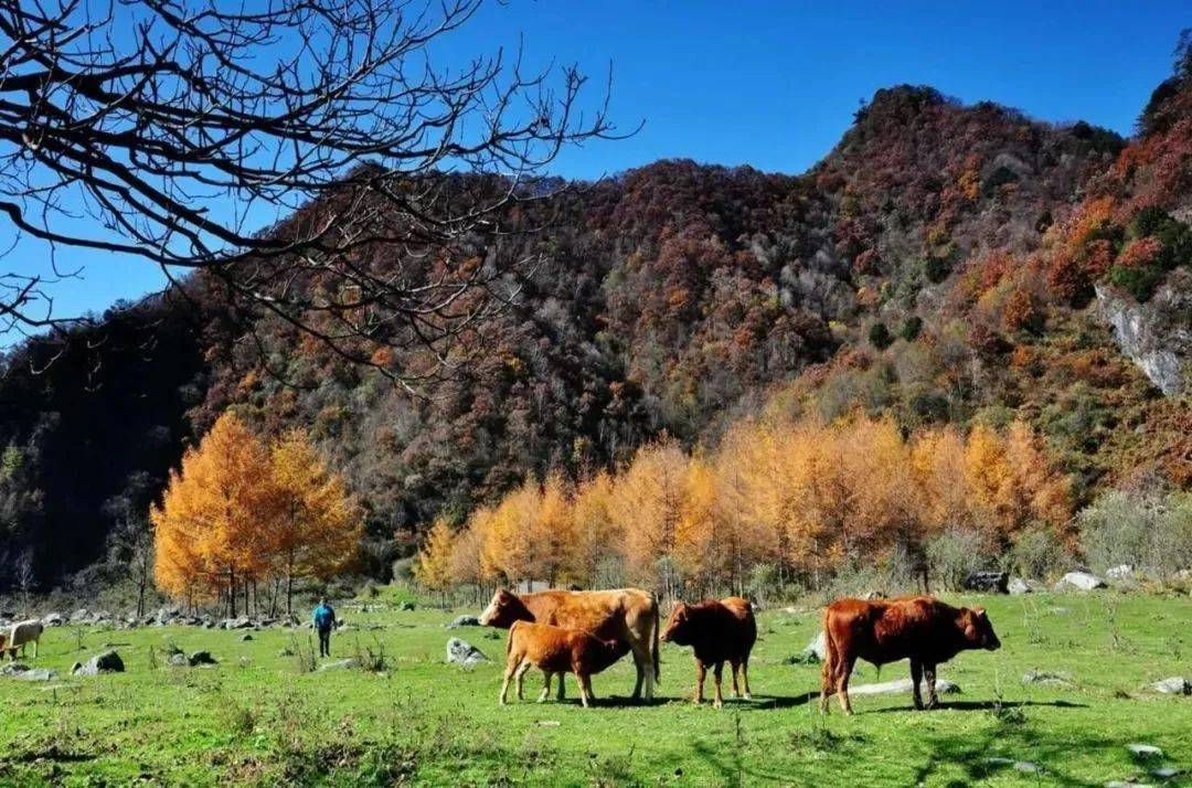 住美宿·趣露营·赏美景，这份国庆旅行攻略必须收藏！