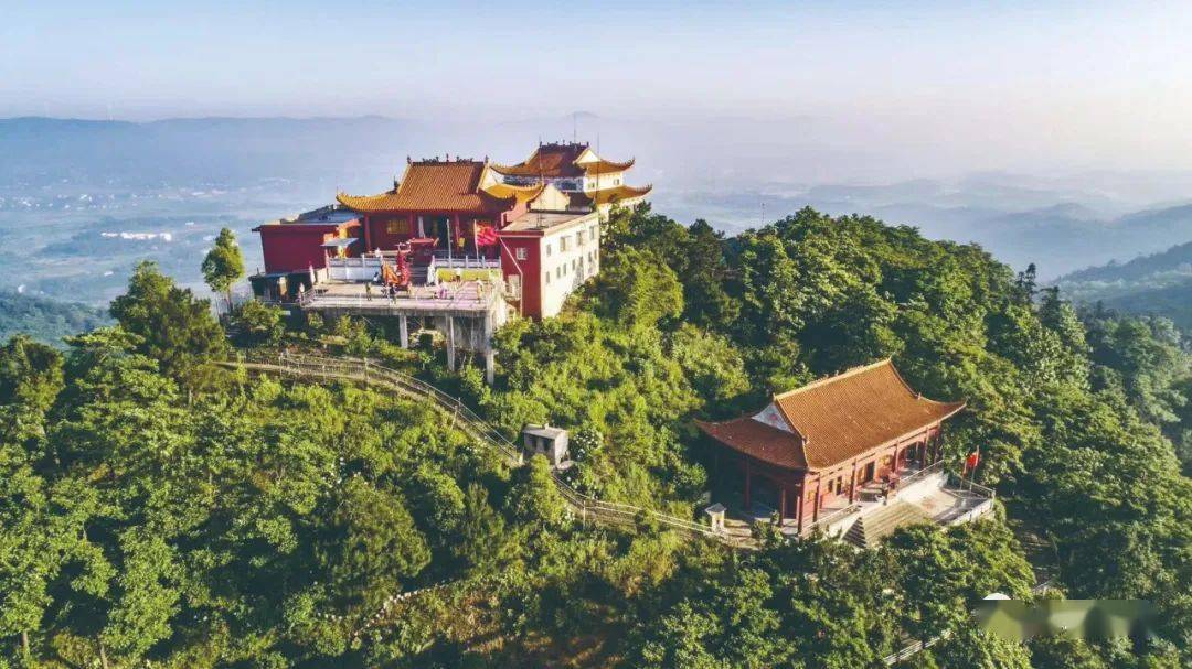 柿树岭村体验田园采摘擂鼓山庄享受原生态美食千年银杏古树谢凤良烈士