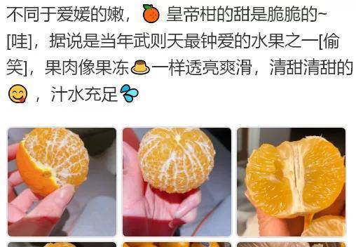 皇帝柑文案:皇帝柑水果推销文案,皇帝柑水果发朋友圈的文案_运营_圈子