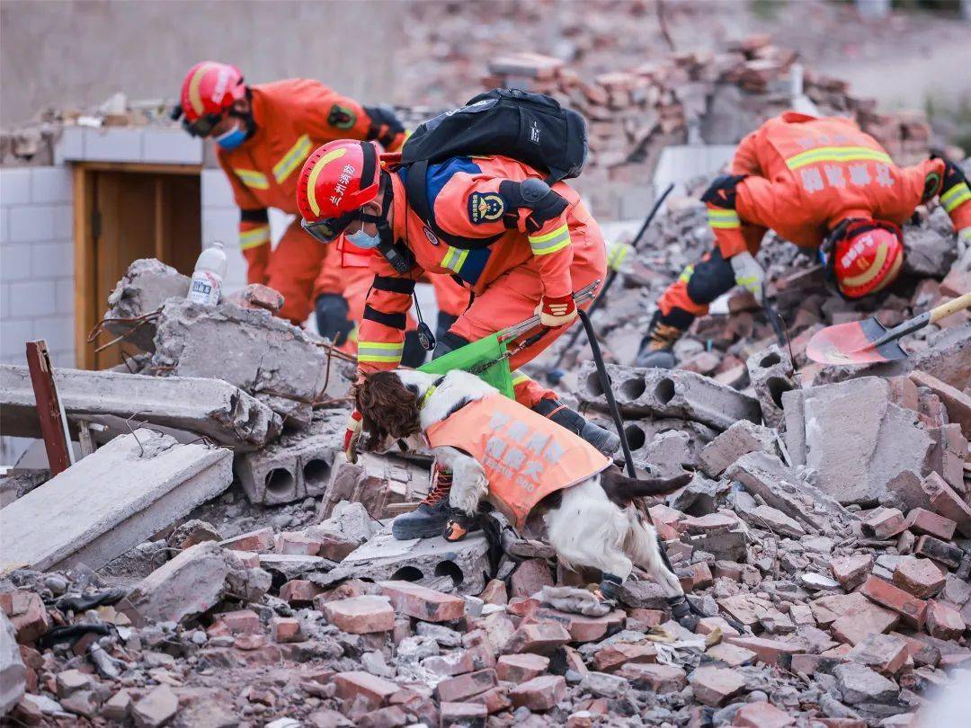 甘肃消防地震救援分区域实战演练纪实_人员_进行_救援