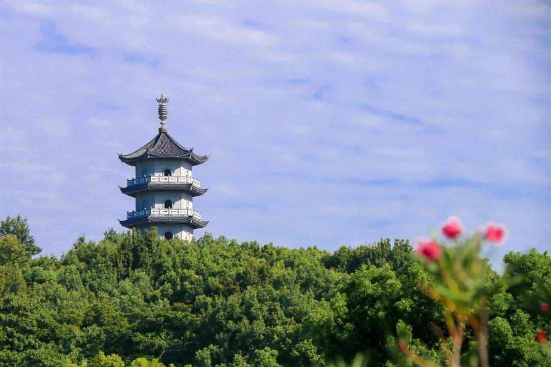 今天,我就留在灵溪!不走了_公园_状元_文化