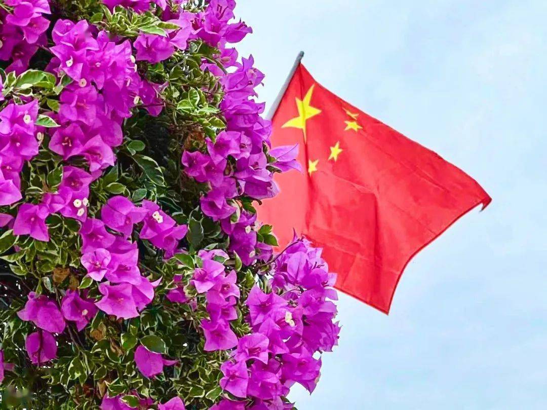 国旗_公园_国庆