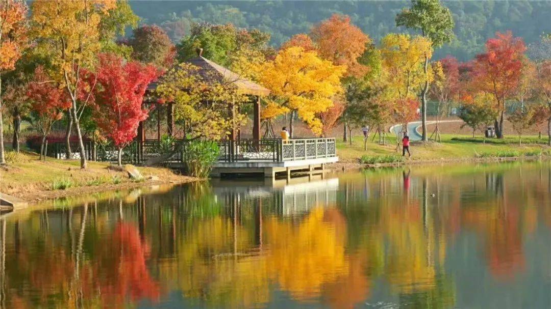不出苏州城,嗨玩小长假!_太湖_江南_香山